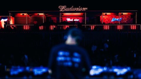 Budweiser, la cerveza del verano marplatense
