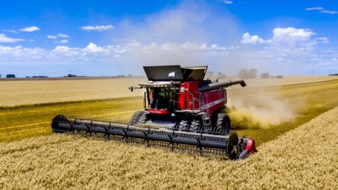 Massey Ferguson, cosechadora oficial de Expoagro 2025