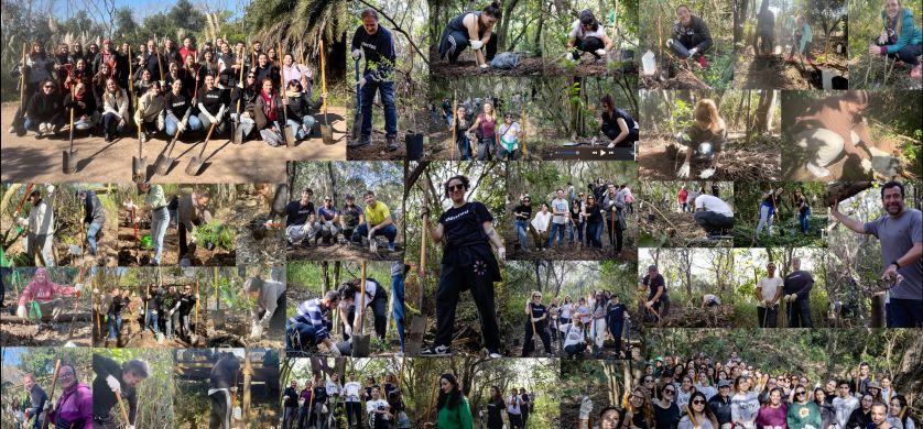 Dentsu Argentina presenta el bosque dentsu: un compromiso con la biodiversidad y el medio ambiente