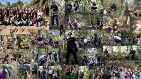Dentsu Argentina presenta el bosque dentsu: un compromiso con la biodiversidad y el medio ambiente