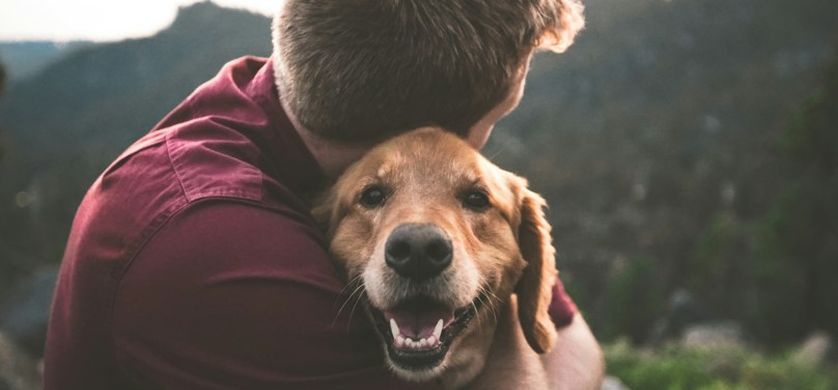 Las mascotas y los argentinos: el 80% tiene al menos un animal en su casa