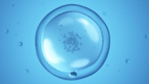 Inteligencia artificial revoluciona la reproducción asistida, según Procrearte