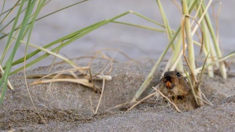 “Safari y concurso fotográfico El Salvaje”, una experiencia que celebró la naturaleza y la creatividad