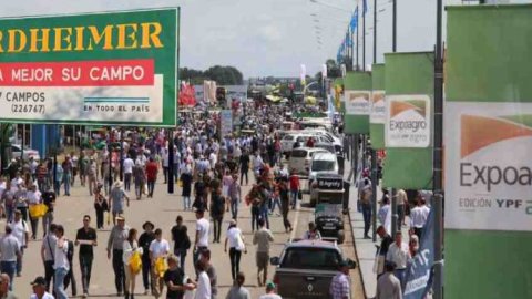 Nordheimer Campos y Estancias confirma su presencia en Expoagro 2025
