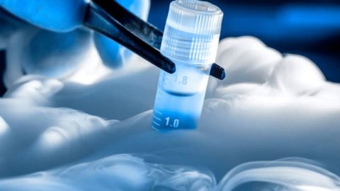 Grupo Procrearte obtiene la certificación ISO 9001 en medicina reproductiva