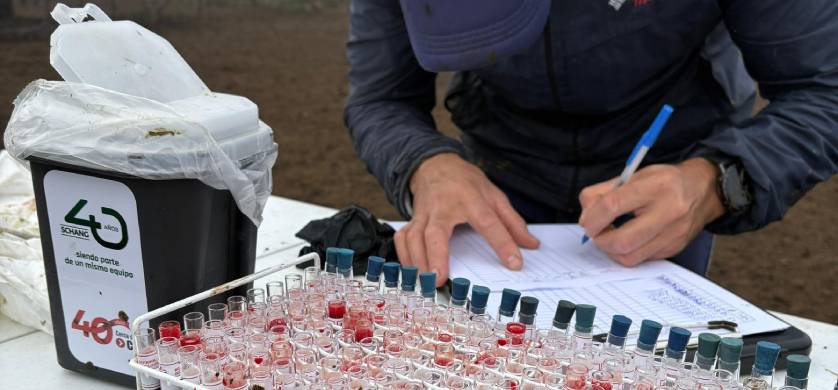 CDV y SCHANG impulsan iniciativa para mejorar el manejo de residuos descartables en el campo