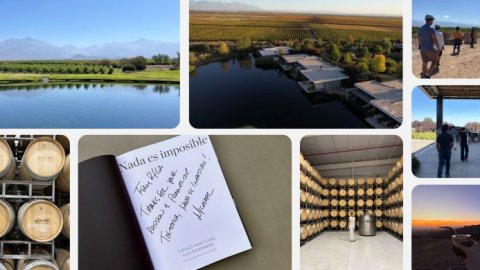 The Vines of Mendoza elige a R/GA como partner creativo