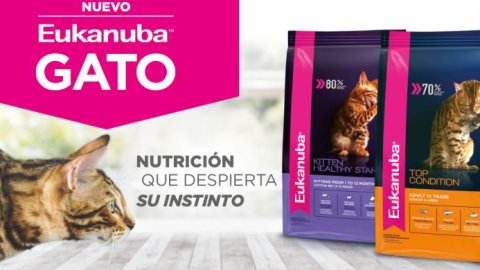 Eukanuba despierta el instinto felino con su nueva línea de alimento para gatos en Argentina