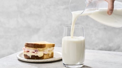 Mastellone Hnos. celebra el Día Mundial de la Leche con una campaña que promueve sus beneficios nutricionales
