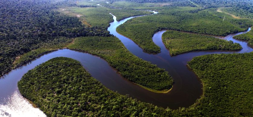 Natura es reconocida como la marca más sustentable del mundo