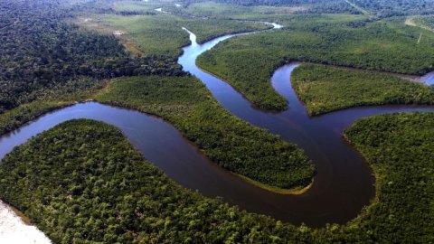 Natura es reconocida como la marca más sustentable del mundo