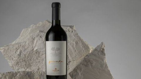 Norton es Revelación Argentina 2025 con su vino Privada obteniendo la Gran Medalla de Oro