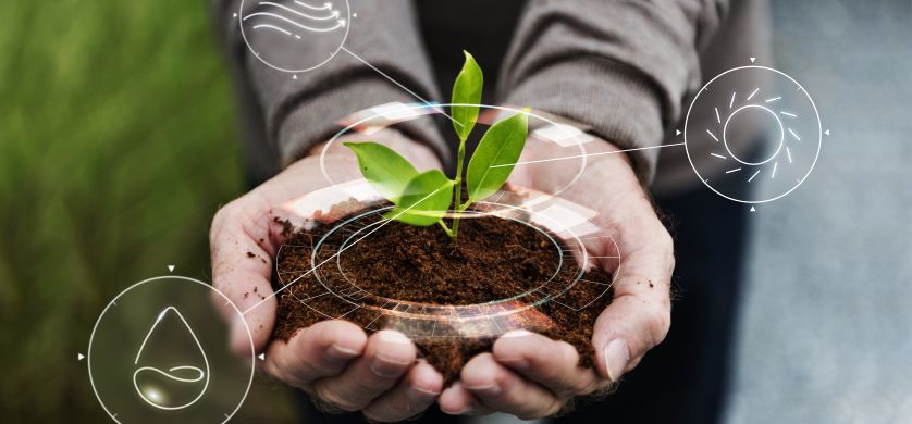 Sadia refuerza su compromiso ambiental con campañas digitales libres de carbono junto a Adsmovil