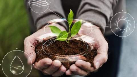 Sadia refuerza su compromiso ambiental con campañas digitales libres de carbono junto a Adsmovil