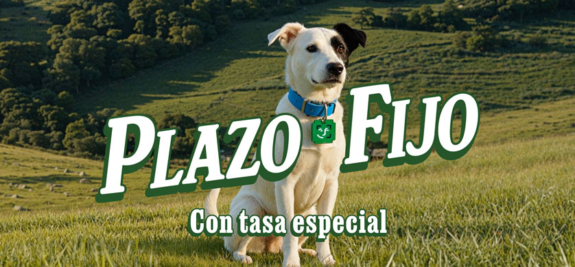 "Cuenta DNI tiene plazo", la nueva nueva campaña de La América para Banco Provincia