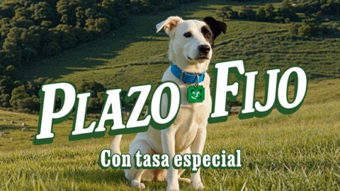 "Cuenta DNI tiene plazo", la nueva nueva campaña de La América para Banco Provincia