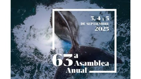 ADEPA realizará su Asamblea General Ordinaria 2025 en Puerto Madryn