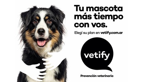 “Tu mascota más tiempo con vos”: la campaña de lanzamiento de Vetify
