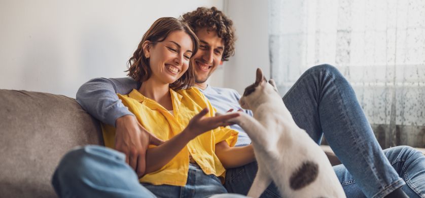 Cat Chow cumple 60 años acompañando a los gatos en cada etapa de su vida