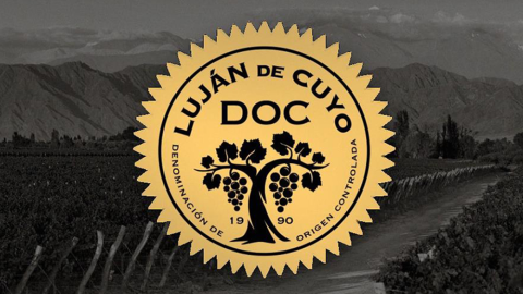 La D.O.C. Luján de Cuyo consolida su crecimiento y avanza en la caracterización de sus distritos vitivinícolas