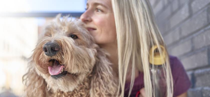 Dog Chow impulsa la adopción consciente y el cuidado responsable de los perros