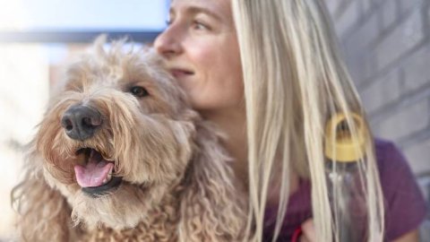 Dog Chow impulsa la adopción consciente y el cuidado responsable de los perros