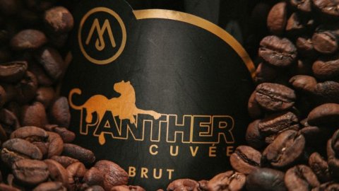 TogetherWith celebra los 15 años de Panther Coffee
