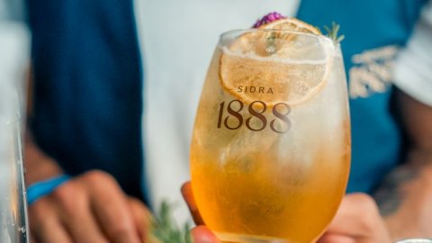 Sidra 1888 vuelve a decir presente en una nueva temporada del Abierto de Palermo