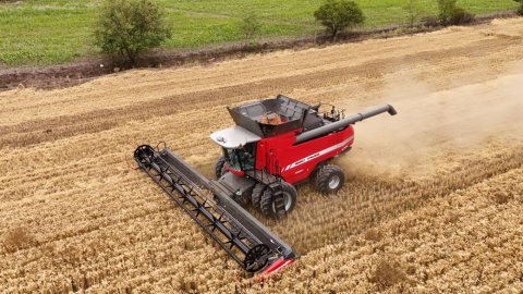 Massey Ferguson será nuevamente Cosechadora Oficial de Expoagro 2026