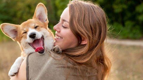 Grupo Omint lanza Omint Mascotas, una nueva unidad para el cuidado de la salud de perros y gatos
