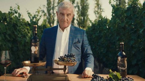 Bodega Dante Robino lanza “Créditos Uvas” para la Vendimia junto a TombrasNiña