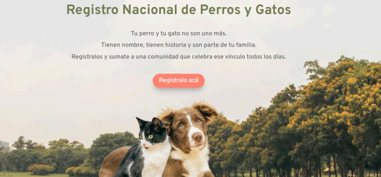 Old Prince lanza su Registro Nacional de Perros y Gatos