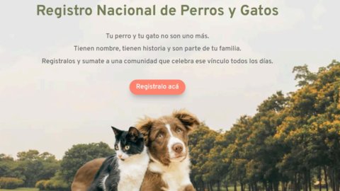 Old Prince lanza su Registro Nacional de Perros y Gatos