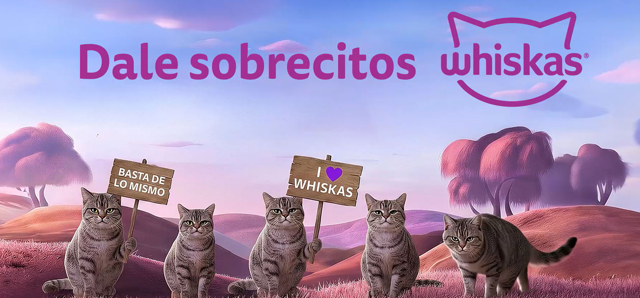 Whiskas junto a WPP Production lanzan “Salí de lo de siempre”, la nueva campaña multimedia