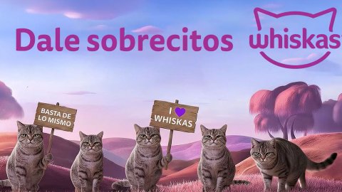 Whiskas junto a WPP Production lanzan “Salí de lo de siempre”, la nueva campaña multimedia