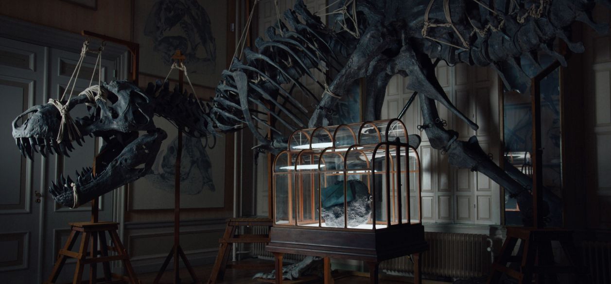 Nueva campaña de VML y Enfin Levé: Primer bolso de lujo de cuero de T.Rex