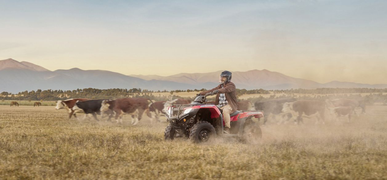 "Soluciones", el comercial de Almacen para la Honda TRX420