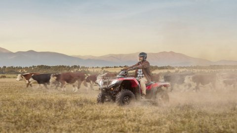 "Soluciones", el comercial de Almacen para la Honda TRX420