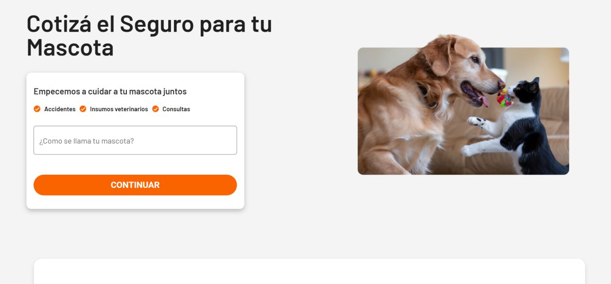 Día mundial de los animales: Answer presenta una solución integral para la salud y bienestar de las mascotas