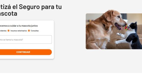 Día mundial de los animales: Answer presenta una solución integral para la salud y bienestar de las mascotas