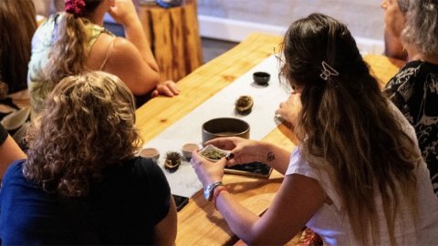 Kinzen celebra el Mes del Té con una agenda de experiencias sensoriales, rituales ancestrales y bienestar