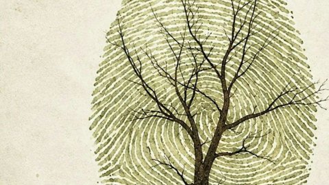 Casa Lucia se suma al Día Mundial del Medio Ambiente con "Tierra Viva", un pop up de diseño sustentable en Le Club Bacán