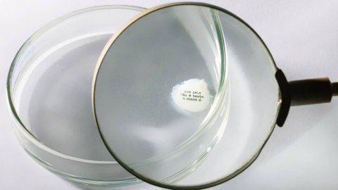 "Tu piel no es una prueba. La nuestra sí": la campaña de Avon y VML que utiliza piel bioimpresa