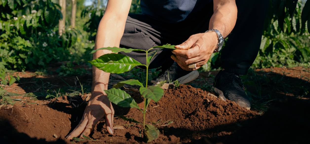 Nescafé presenta los resultados de su Plan 2025 con foco en sostenibilidad y derechos humanos