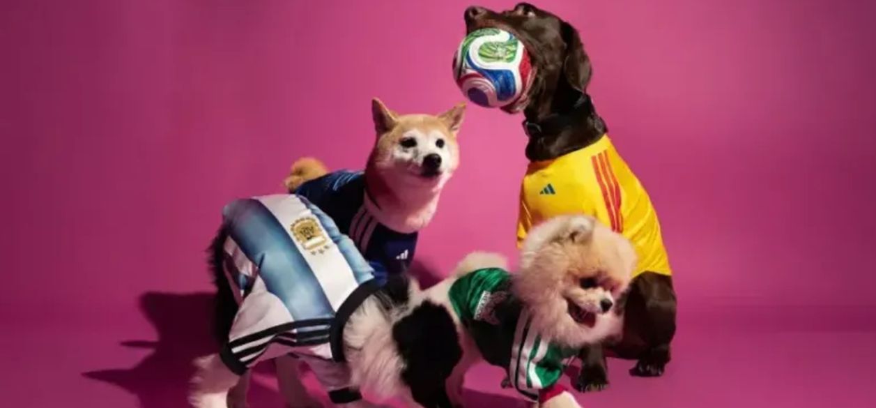 Mundial y mascotas: cómo cuidarlas para disfrutar de cada reunión futbolera