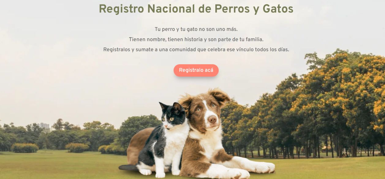 Argentina ya tiene 20.000 mascotas registradas: el impacto de Old Prince