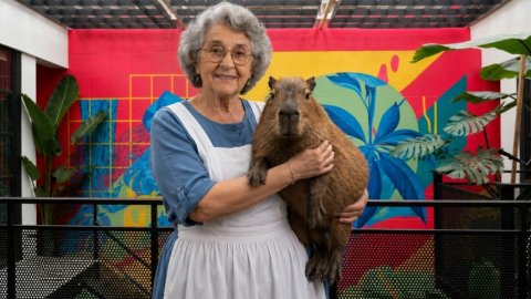 La novedosa estrategia de IA que usan Guapaletas y Abuela Goye para conectar con su comunidad