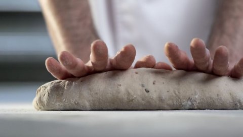 Día del Panadero: cómo evoluciona un oficio clave en uno de los países que más consume pan en América Latina
