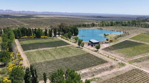 Nordheimer estará presente en Expo Real Estate 2026