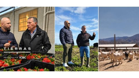 Vuelve "Proyecto Tierras" a Telefe con una nueva temporada junto a ICBC y Germán Martitegui